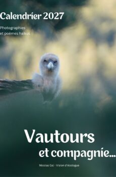 Calendrier 2027 - Vautours et compagnie (Commandes OUVERTES ! Envois postaux à partir du 21 octobre)