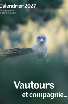 Calendrier 2027 - Vautours et compagnie